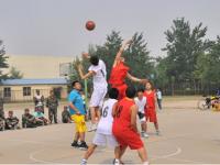 勒沃库森VS奥格斯堡比赛解析推荐勒沃库森vs奥格斯堡比分预测 05月18日德甲